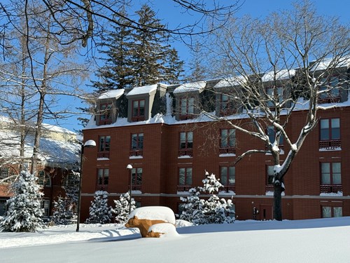 Winter at Hotel Ursa